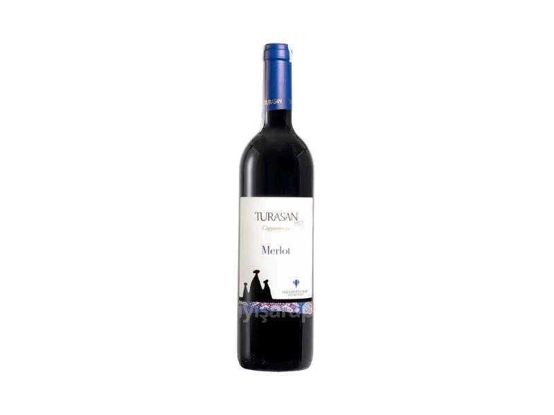 Turasan Merlot | Doctor's Wine House